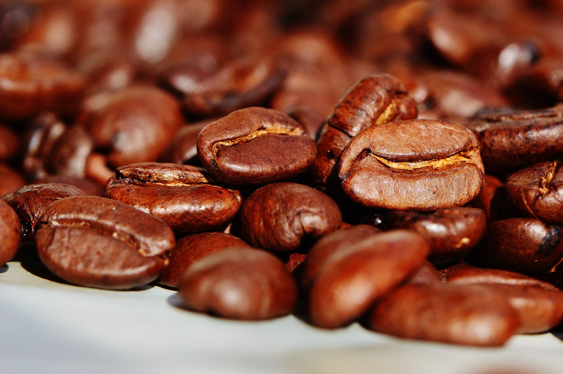 Exportación de Café de Costa Rica con tendencia positiva en el mercado