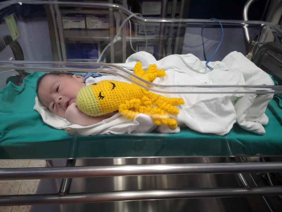 Pulpitos terapéuticos acompañan a bebés prematuros en el hospital Tomás Casas Casajús