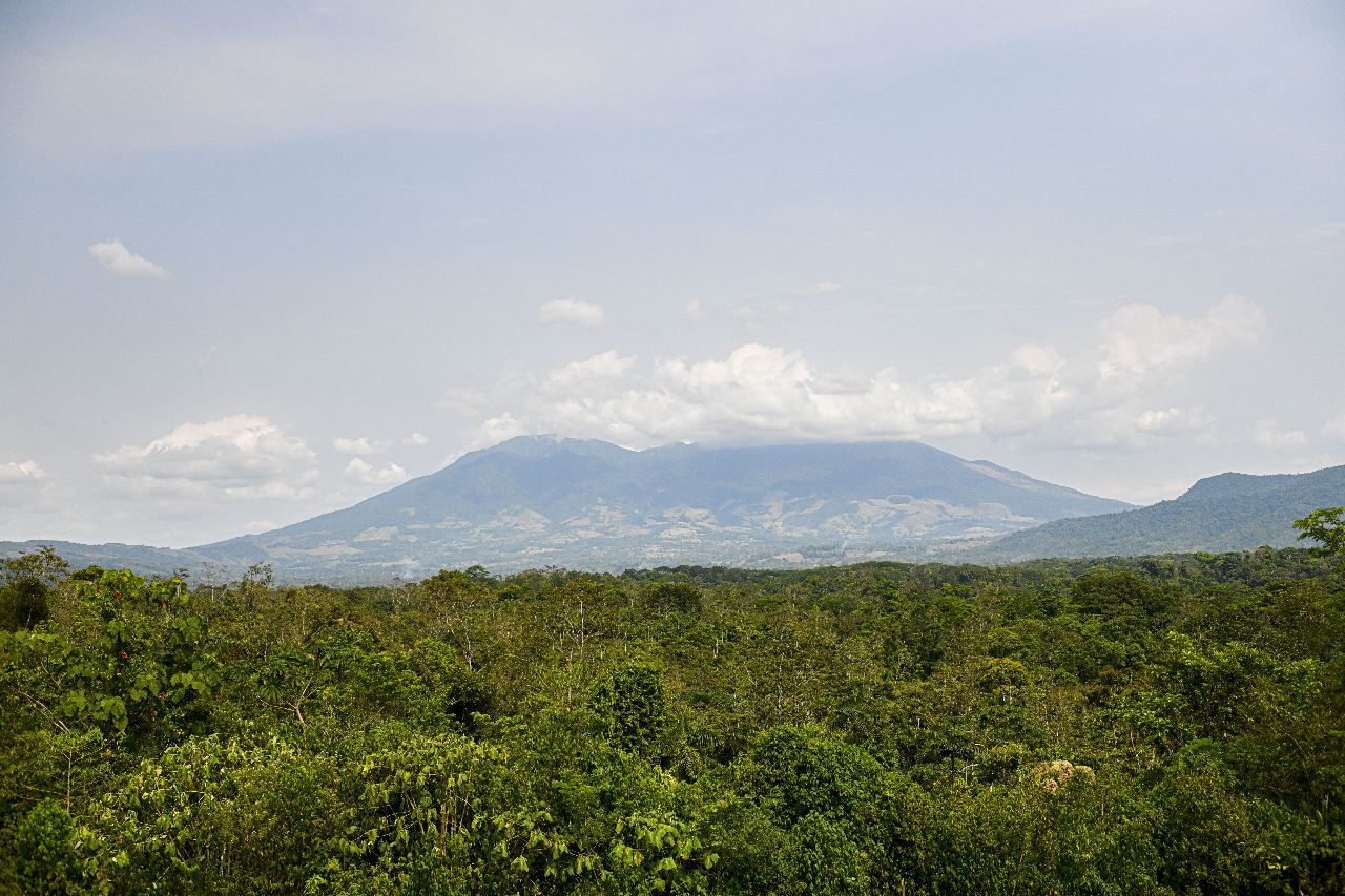 Revista británica describe a Costa Rica como un destino ecológico y sostenible